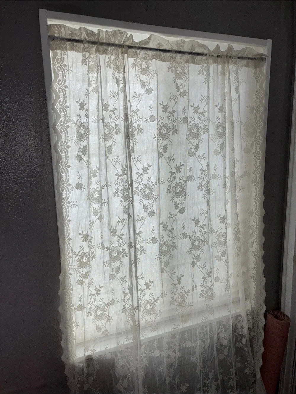 Sheer Lace Floral Window Curtain Panel - Cream 8 Panels 58x86 each